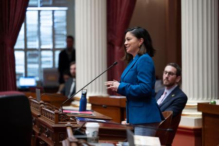 A person speaks into a microphone at a senate hearing