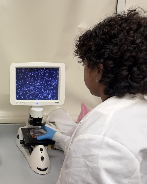 Amber Peek using microscope in research lab.