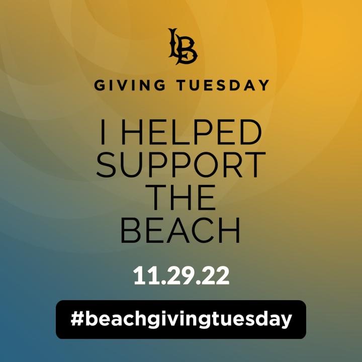 I Helped Support The Beach
