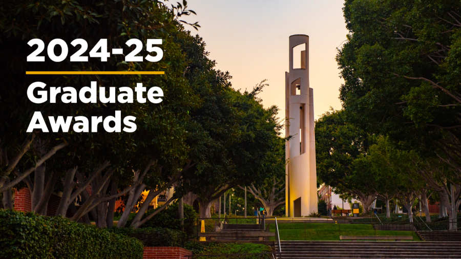 2024-25 Graduate Awards decorative graphic