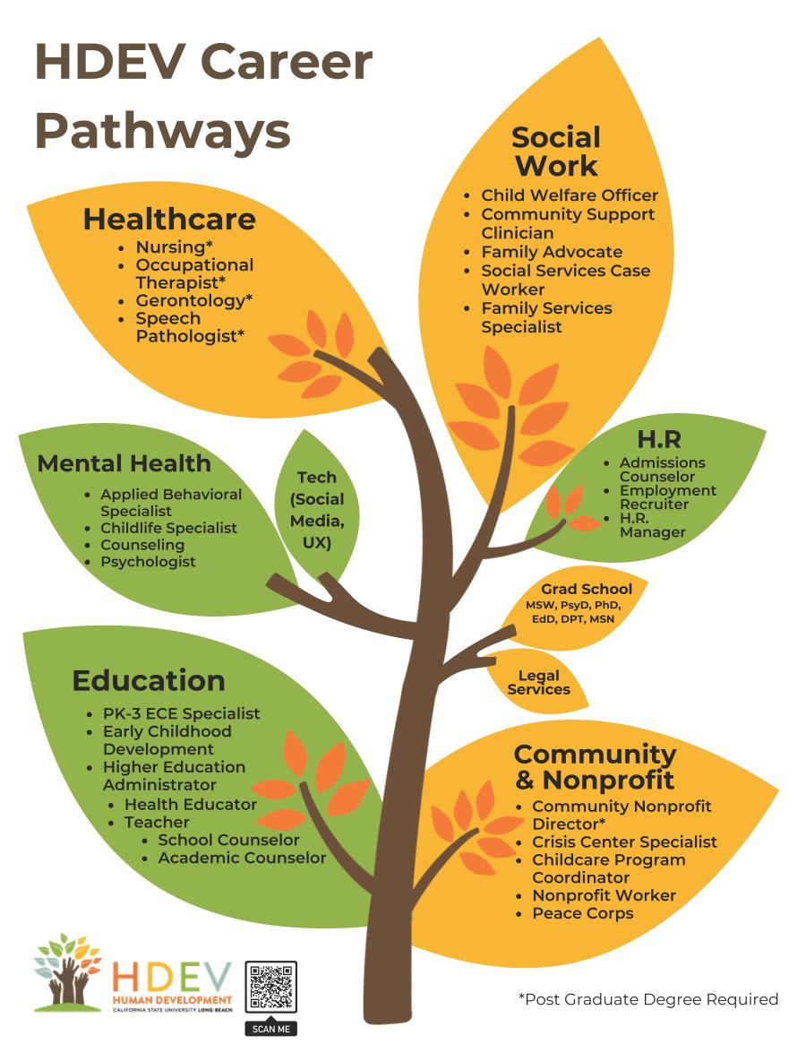 Career pathways for Human Development students