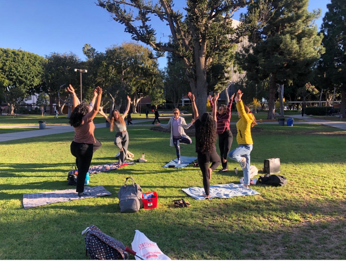 Students practice yoga on the CSULB campus