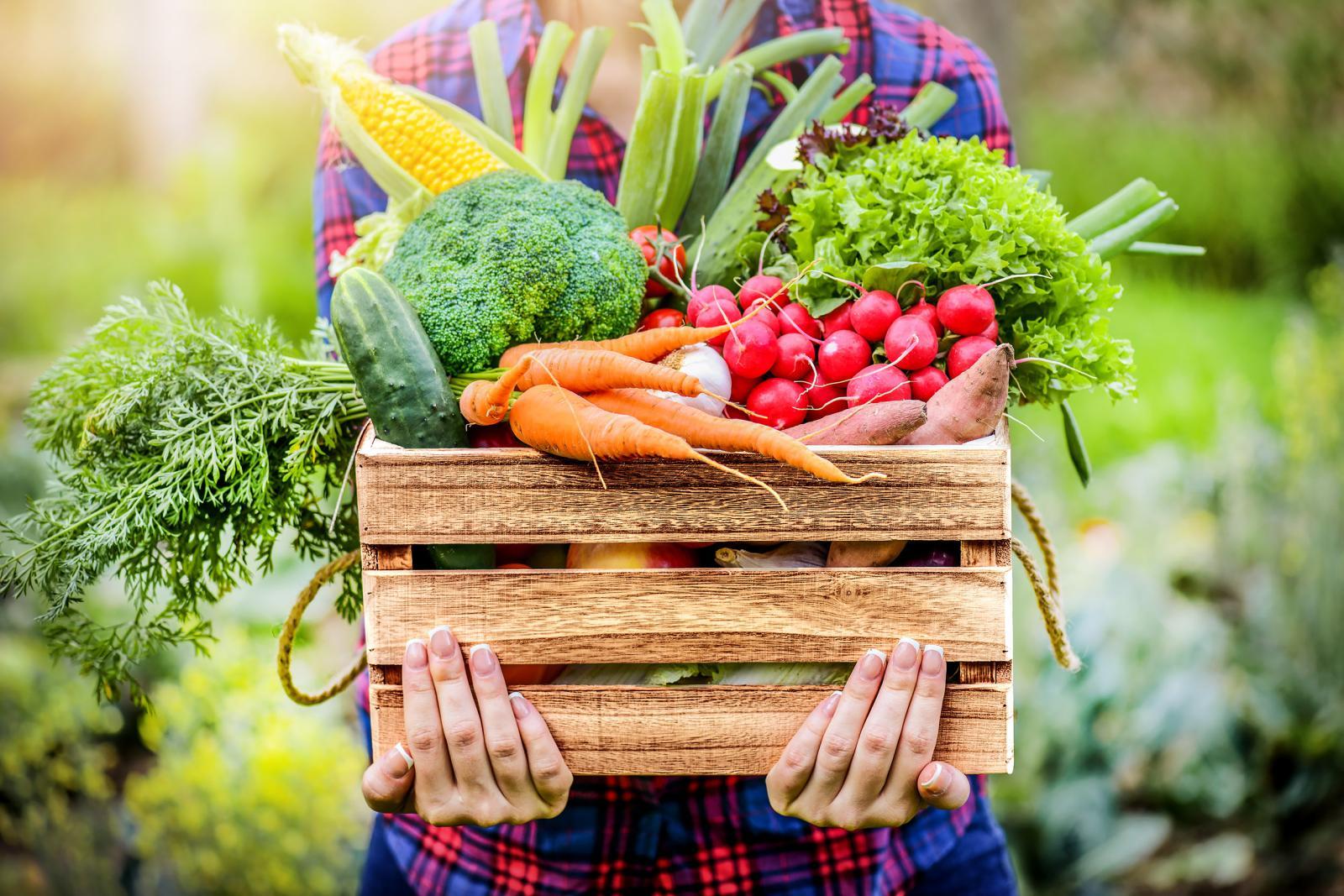 assorted vegetables