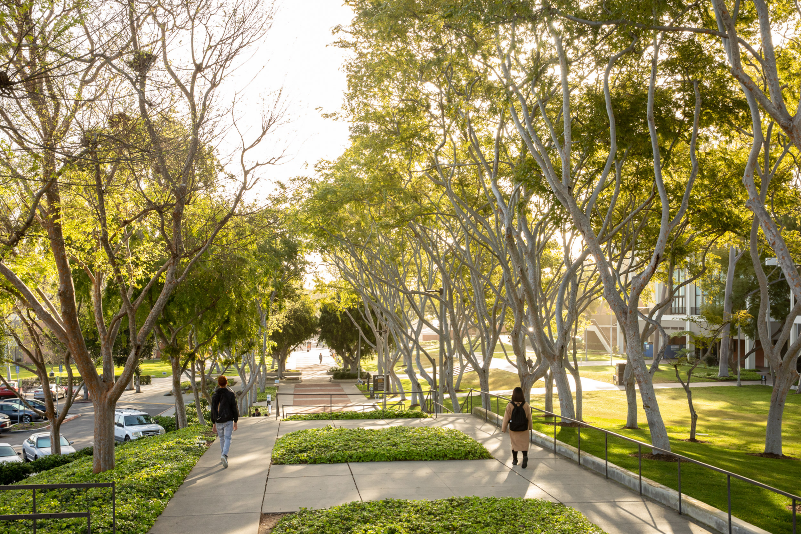 General campus shot General campus shot