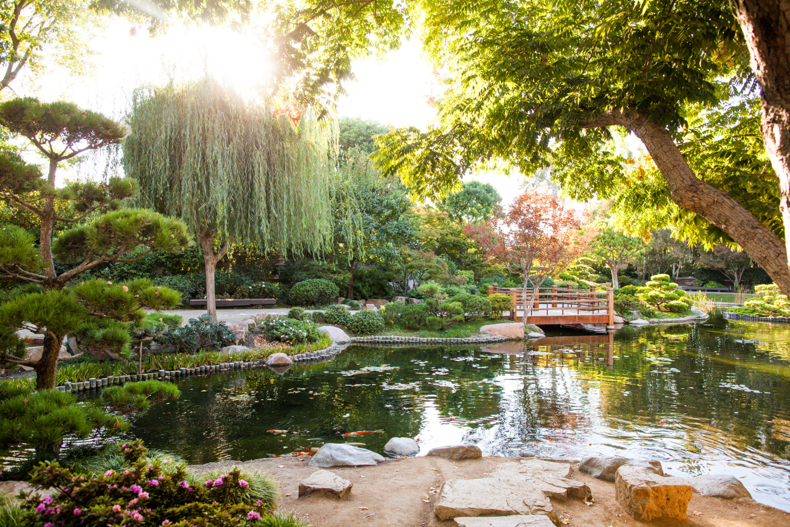 The Japanese Garden The Japanese Garden