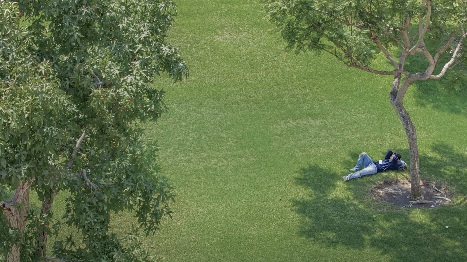 Green space on the CSULB campus