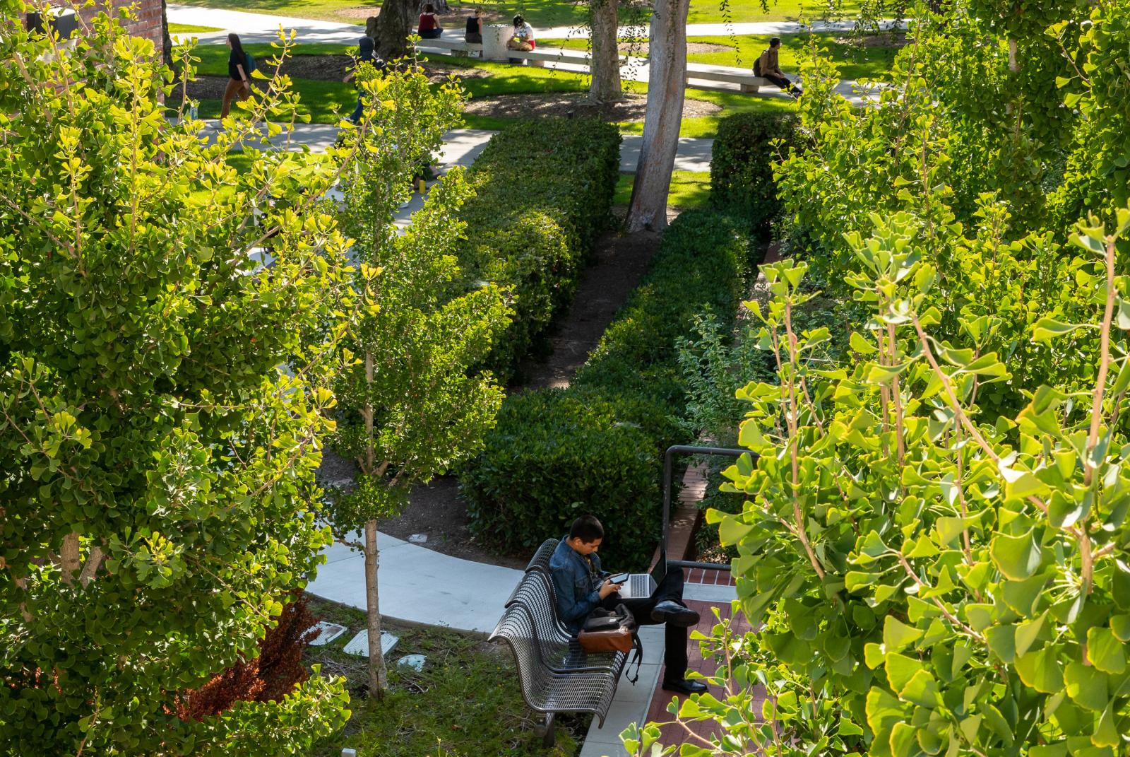 Person sitting on bench and using laptop. 