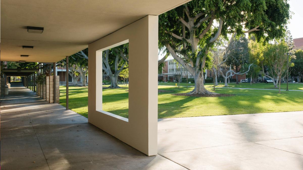 Window Wall by Robert Irwin Window Wall by Robert Irwin