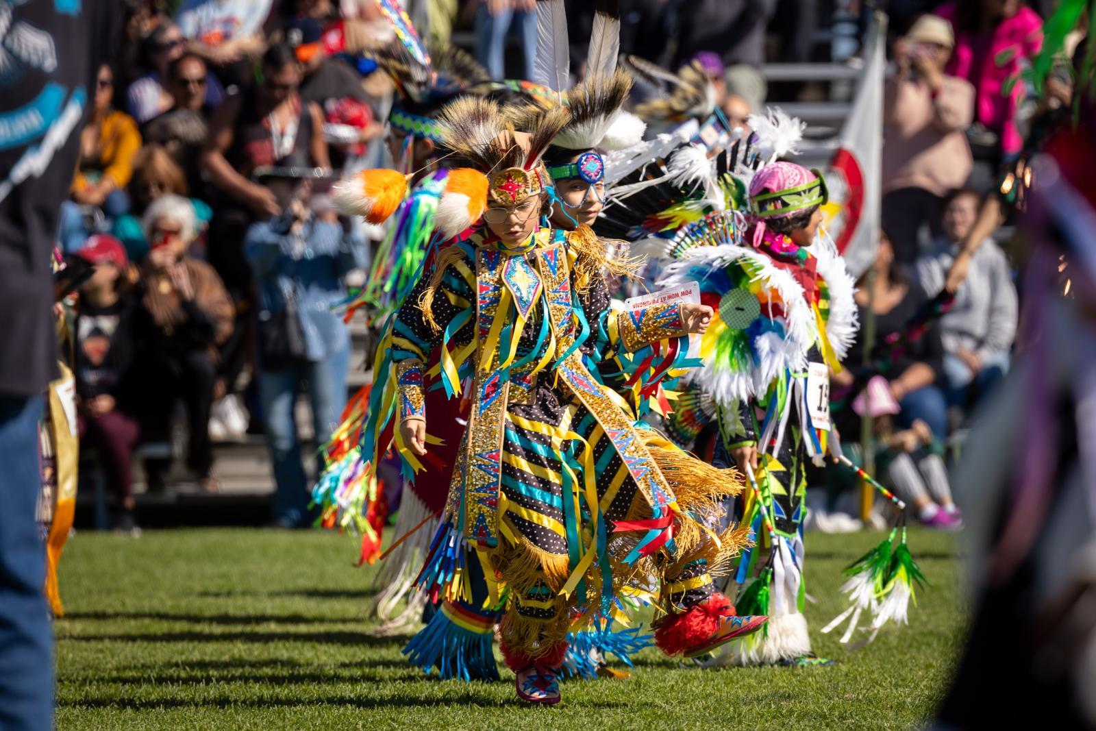 PowWow Dancers PowWow Dancers in Native Regalia