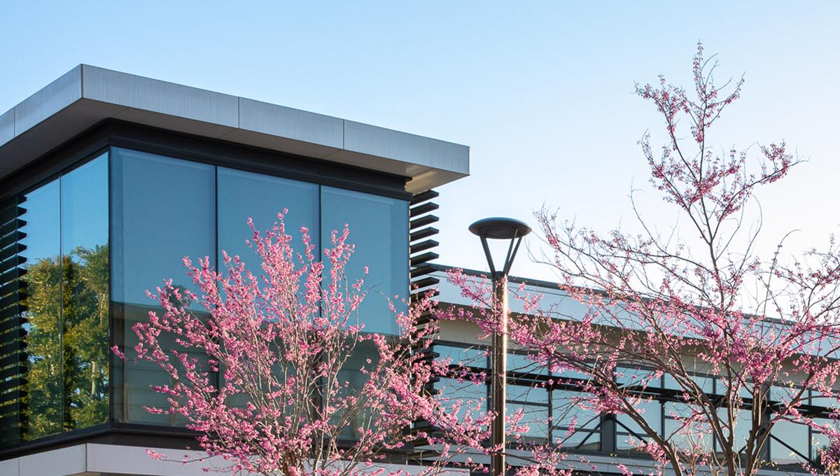 Liberal Arts Building Photograph of the College of Liberal Arts Building