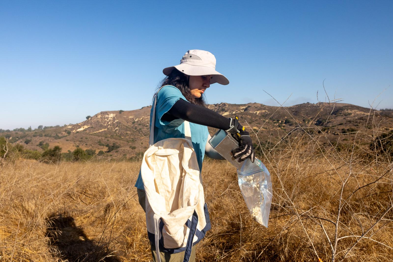 A student in a field pours the contents of a container into a baggie 