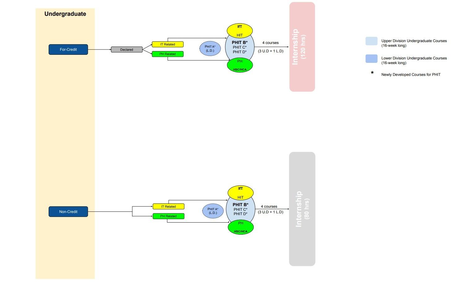 Undergraduate Certificate in PHIT Diagram number 2