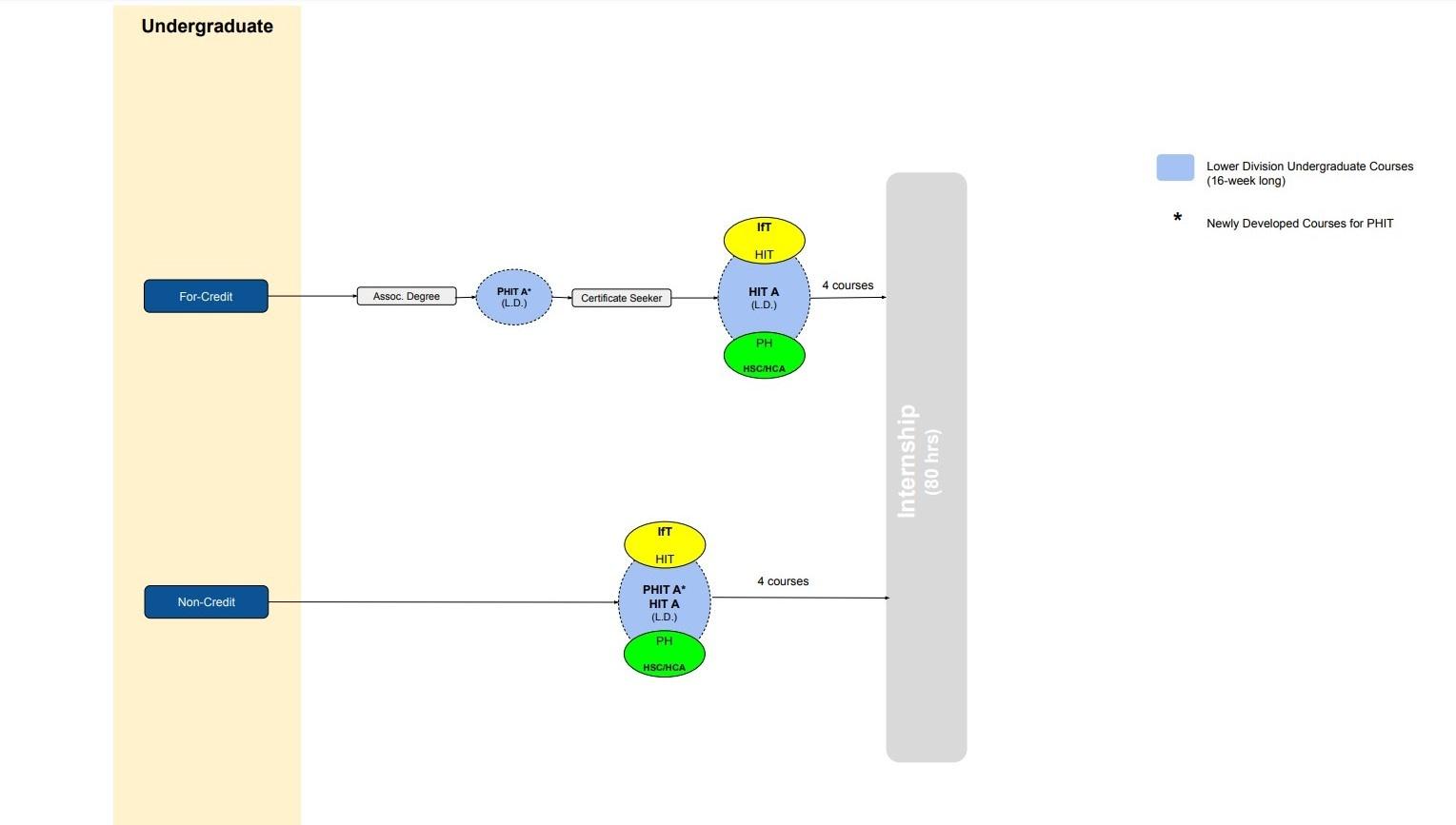 Undergraduate Certificate in PHIT Diagram number 3