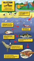 Glitter is Litter Infographic