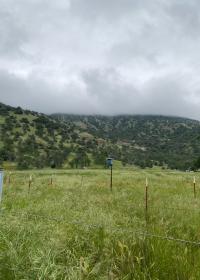 River Ridge Ranch landscape River Ridge Ranch landscape