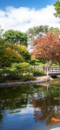 Mobile Background of Earl Burns Miller Japanese Garden