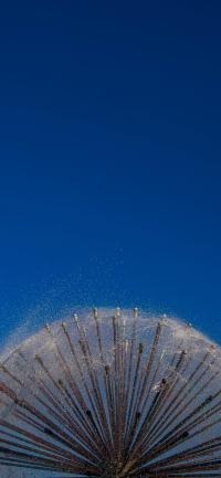 Mobile background of Lyman Lough fountain
